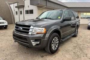2017 Ford Expedition XLT